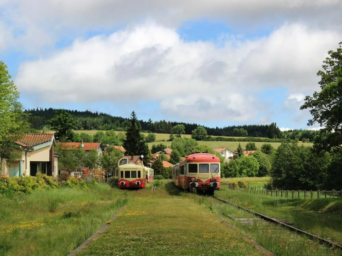 Charmant Gite A La Campagne Avec Cheminee, Terrasse Et Jardin - Animaux Bienvenus - Fr-1-496-164 Usson-en-Forez France