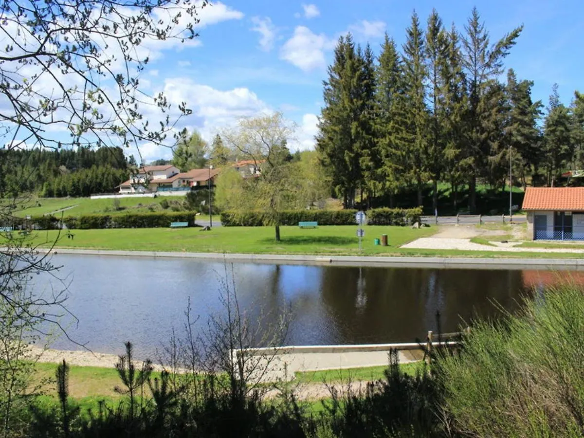 Charmant Gite A La Campagne Avec Cheminee, Terrasse Et Jardin - Animaux Bienvenus - Fr-1-496-164 Usson-en-Forez Holiday home
